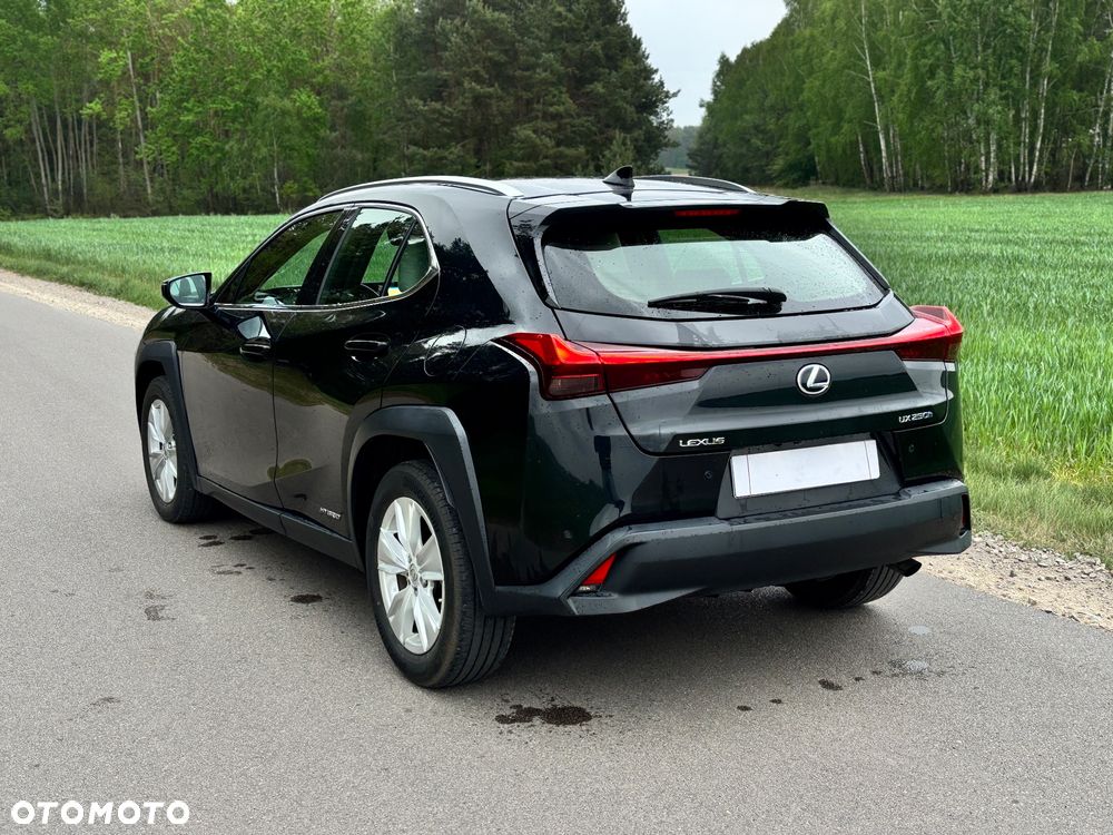 Lexus UX 250h Executive Line - 11