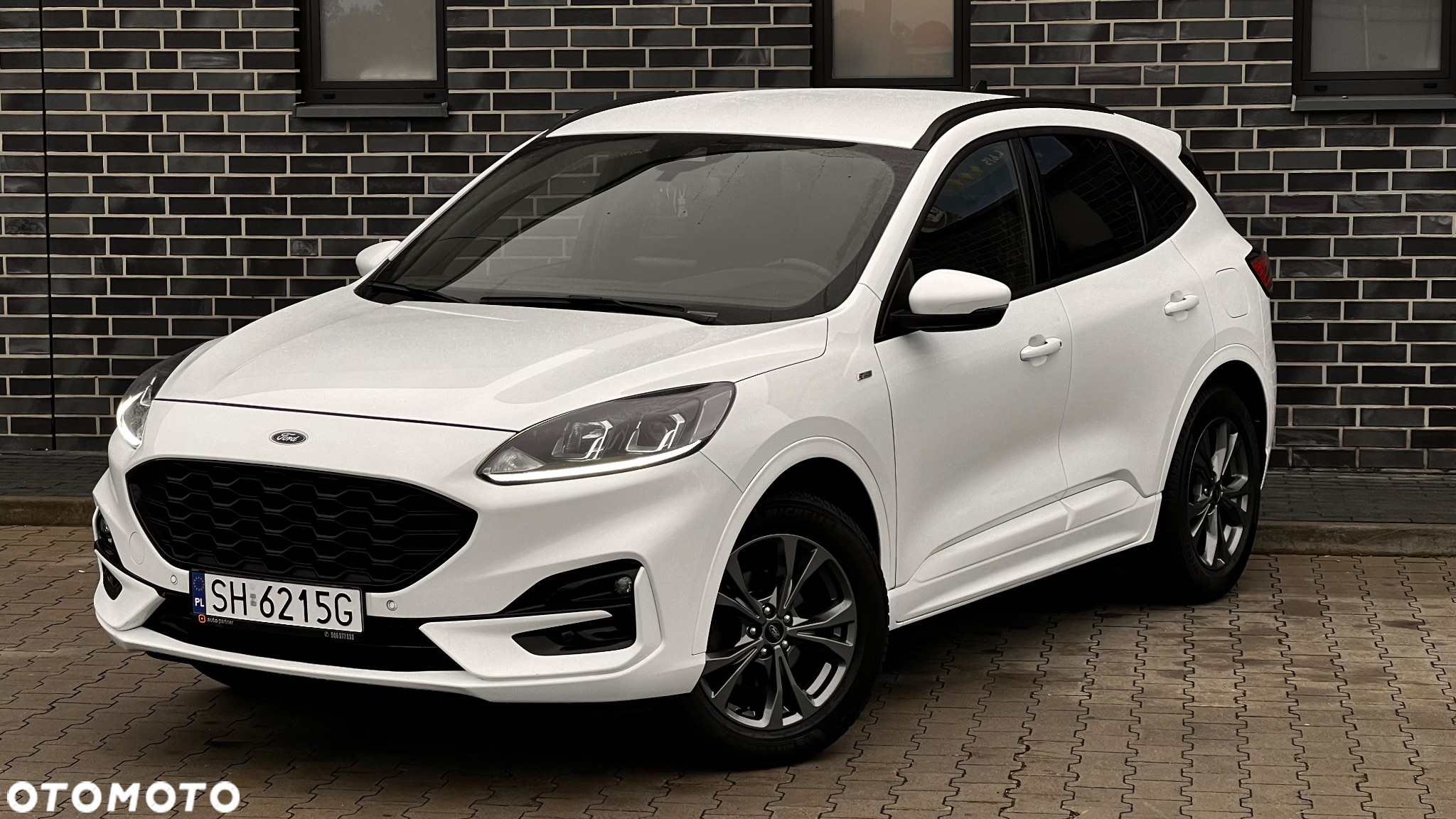 Ford Kuga 2.0 EcoBlue 4x4 ST-LINE - 8