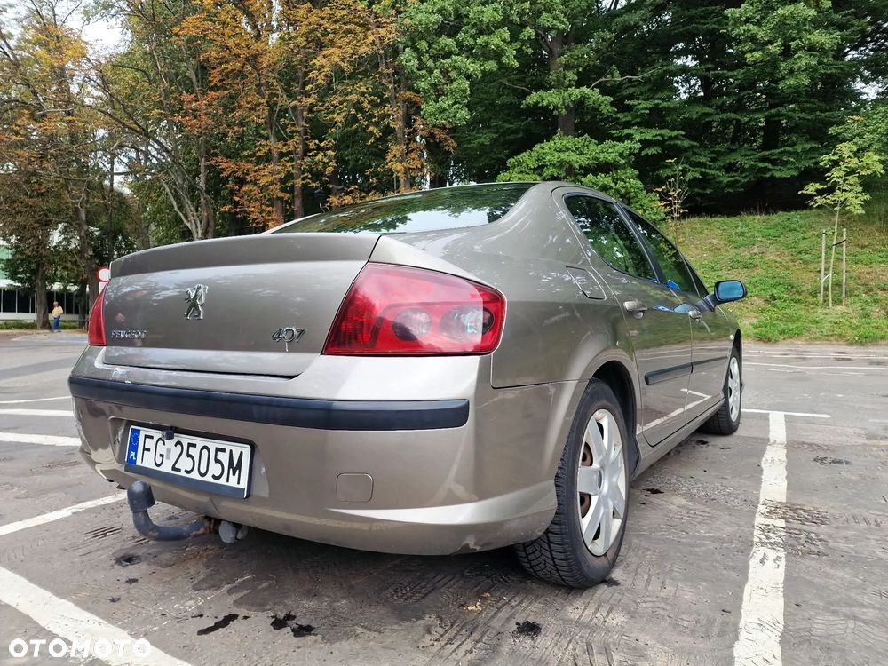 Peugeot 407 - 3