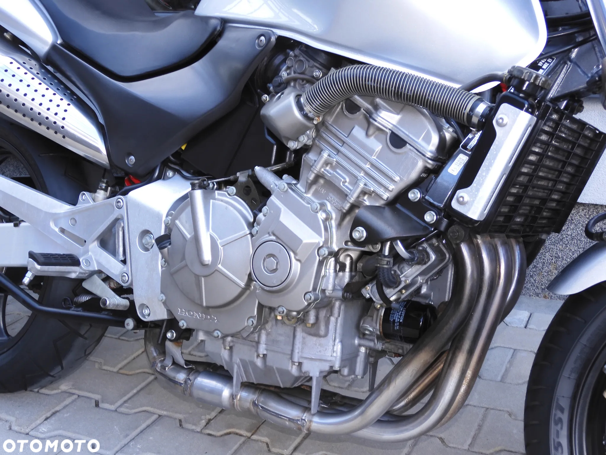 Honda Hornet - 6
