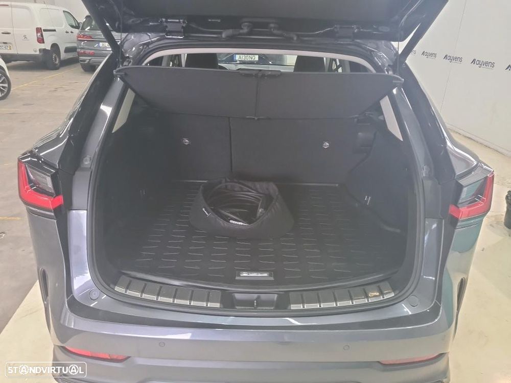 Lexus NX 450h+ Executive - 11