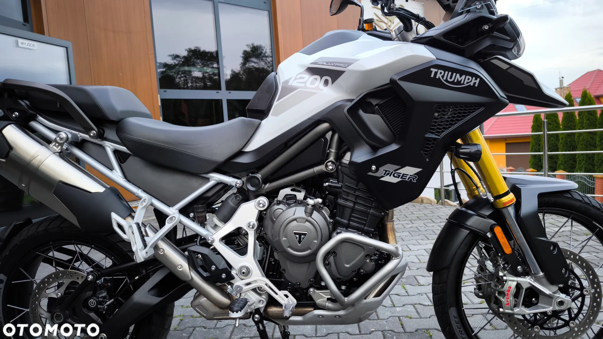 Triumph Tiger - 13