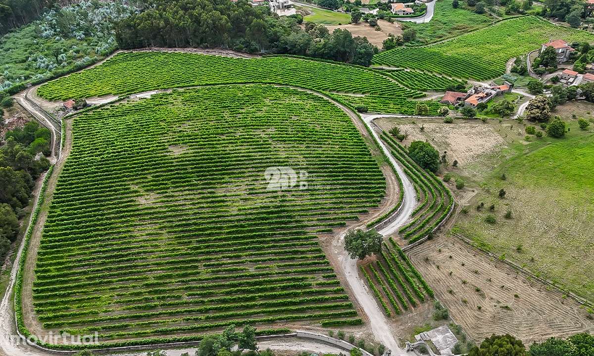 Quinta 80.000m² - Monte Córdova - Grande imagem: 2/11
