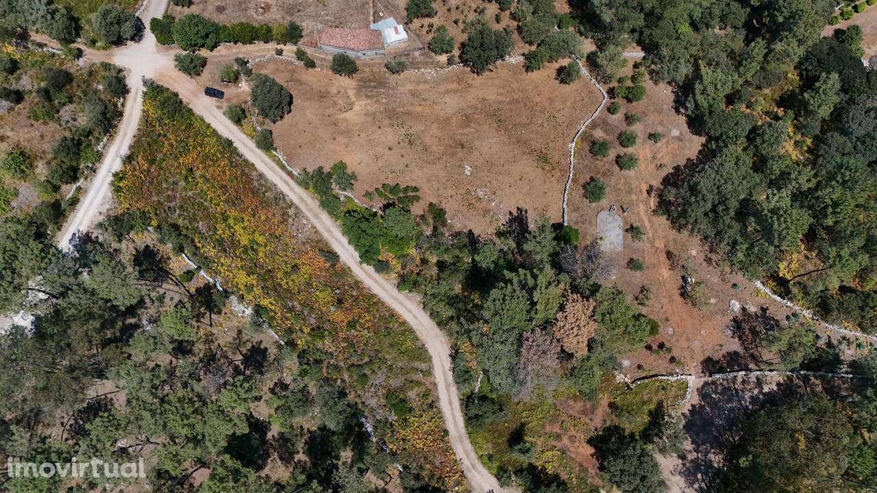 Terreno Urbanizavel Cidade de Fátima! - Grande imagem: 2/9