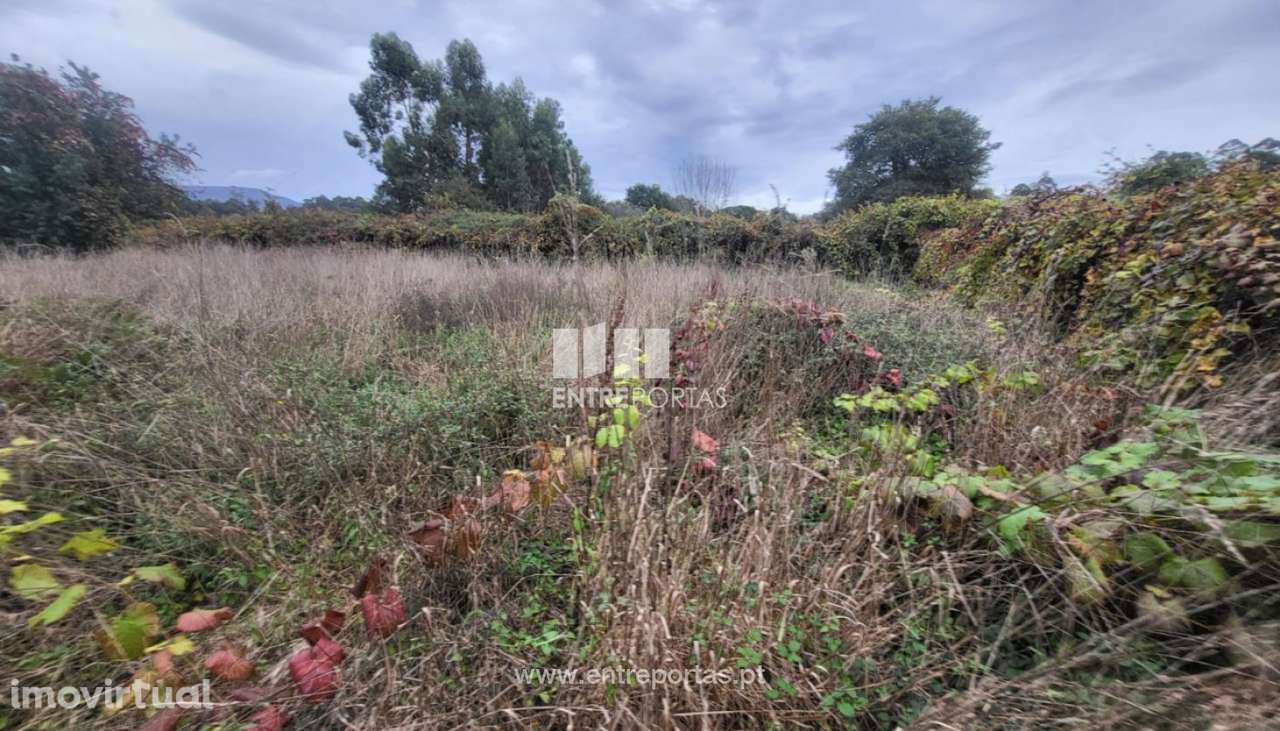 Venda de terreno agrícola, Deocriste, Viana do Castelo - Grande imagem: 5/28
