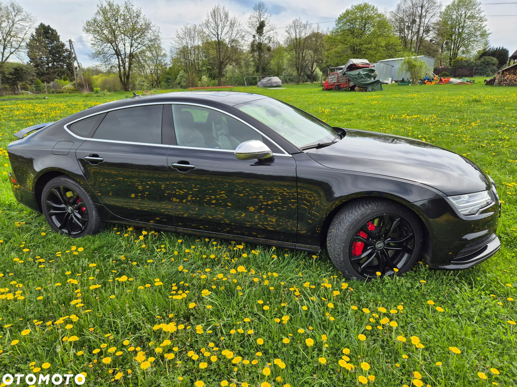 Audi S7 4.0 TFSI Quattro S tronic - 5