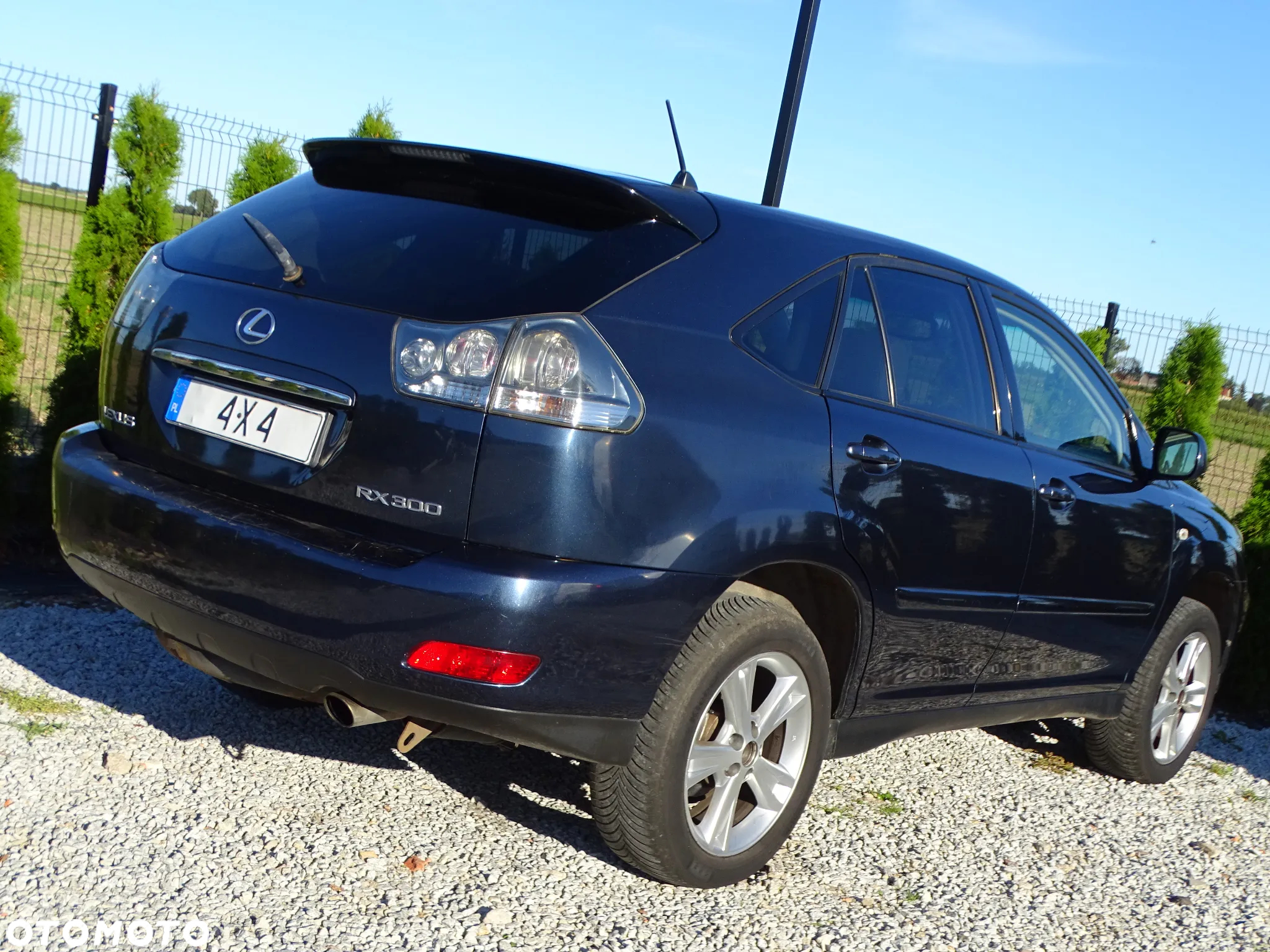 Lexus RX 300 Lux - 8