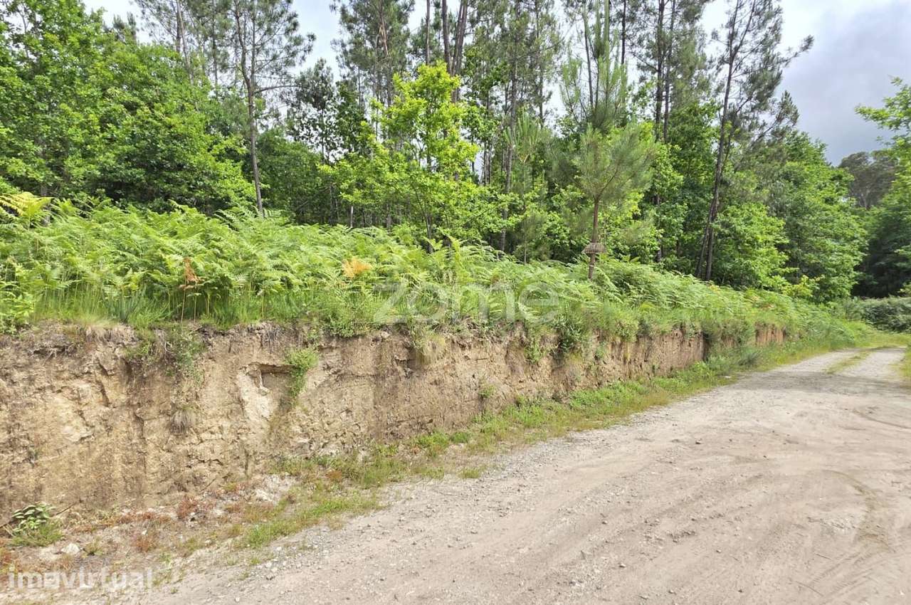 Terreno para construção moradia - Grande imagem: 5/15