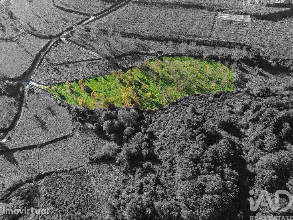 Terreno em Mões de 7026,00 m2 - Grande imagem: 3/29