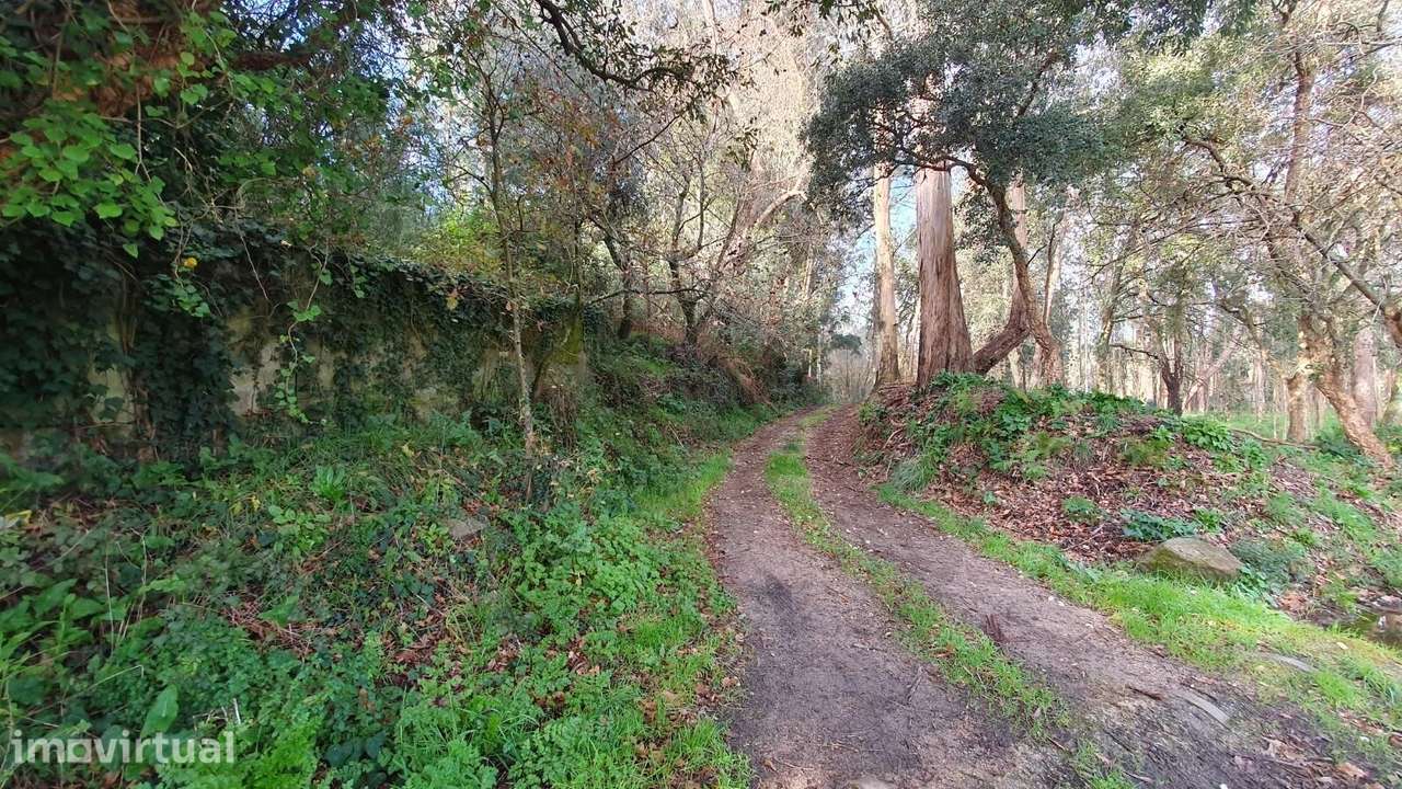 Terreno rústico - 19.176 m2 em S. Cruz do Bispo - Matosinhos - Grande imagem: 5/10