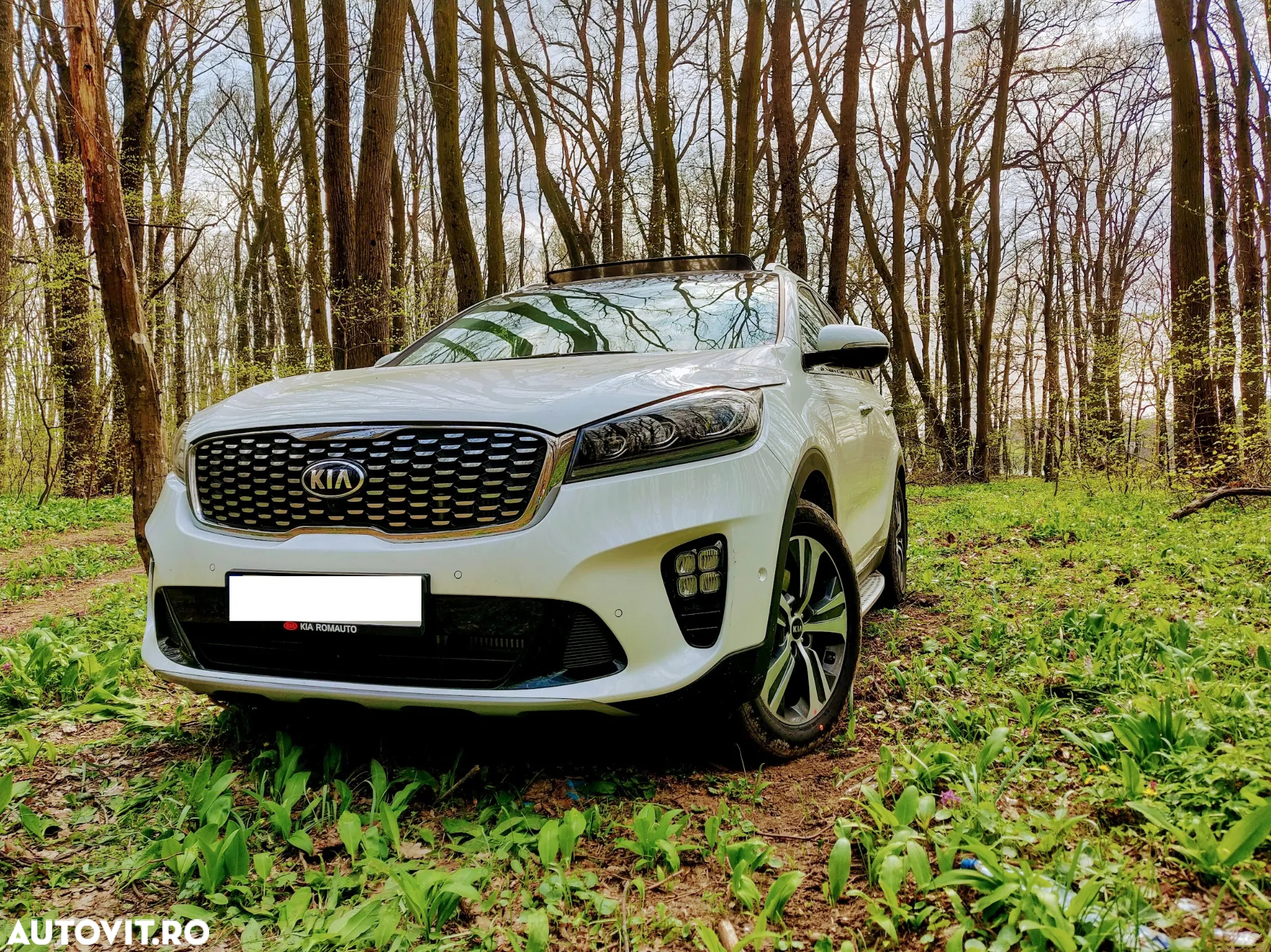 Kia Sorento 2.2 DSL 8AT 4x4 Cosmo - 2