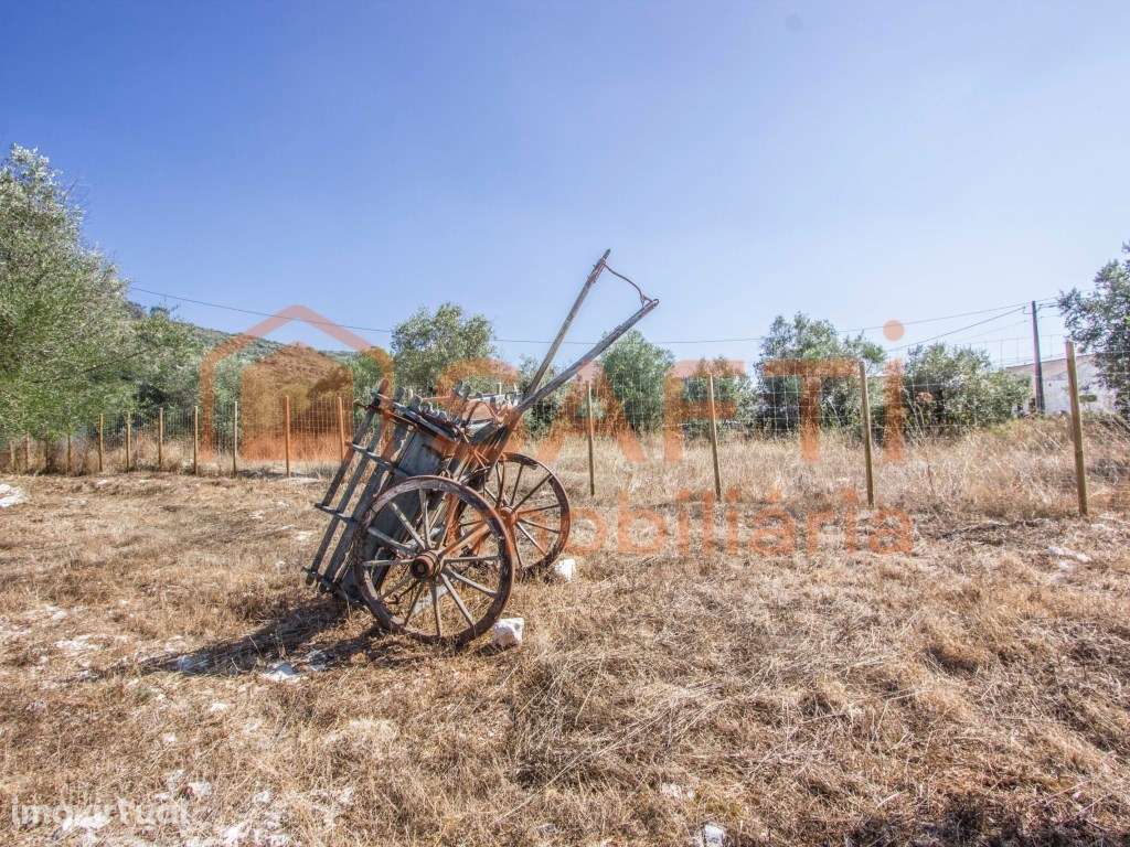 Parque Natural Serra D'Aire e Candeeiros Alojamento T2 + 3 e Moradi... - Grande imagem: 3/42
