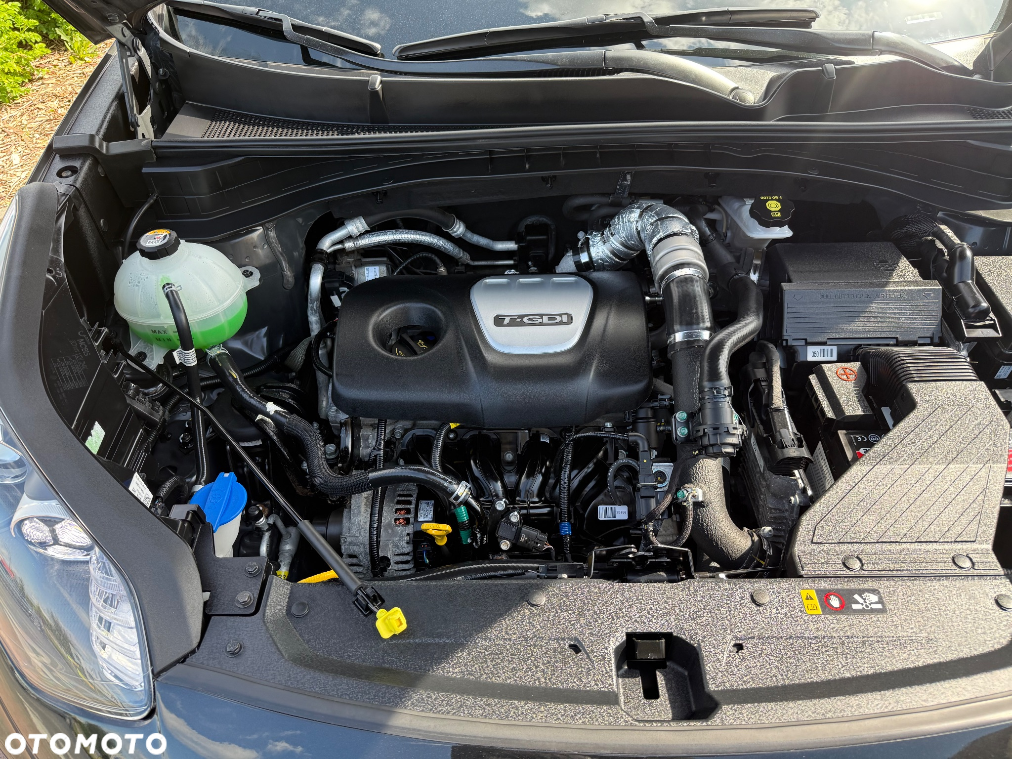 Kia Sportage 1.6 T-GDI Business Line 4WD DCT - 19