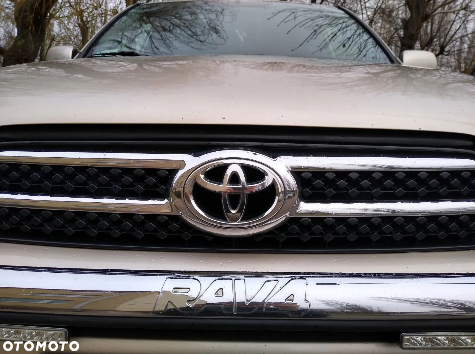 Toyota RAV4 - 16