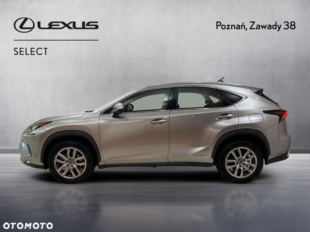 Lexus NX 300h Business Edition AWD - 5