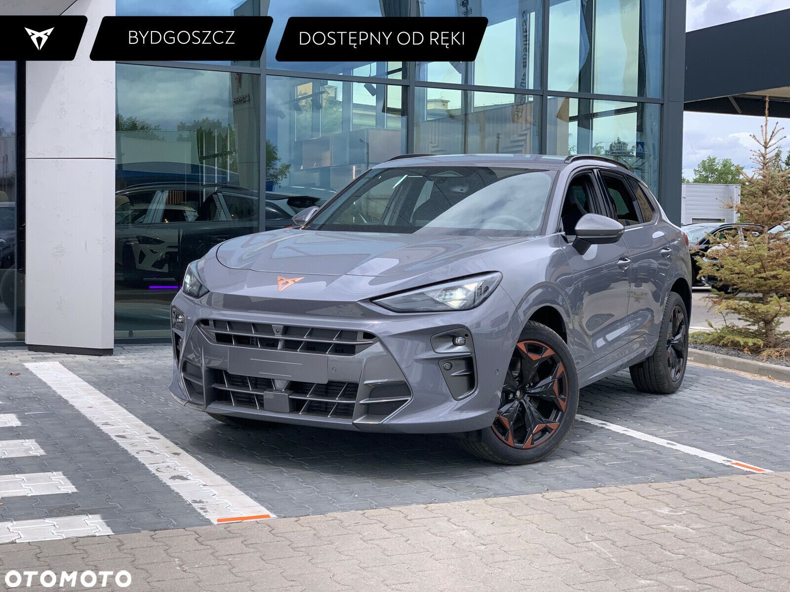 Cupra Terramar - 1