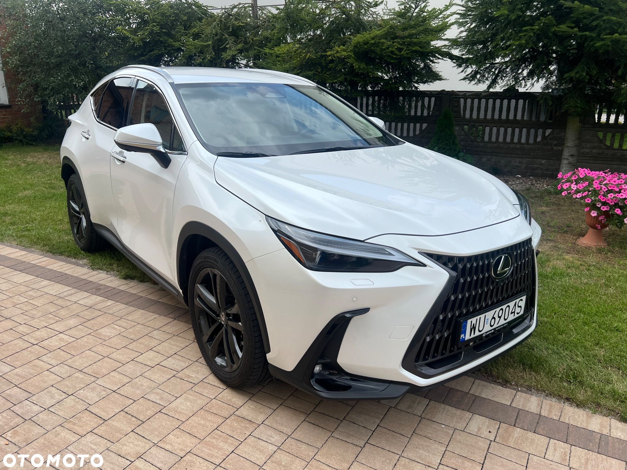 Lexus NX 350h Prestige AWD - 1