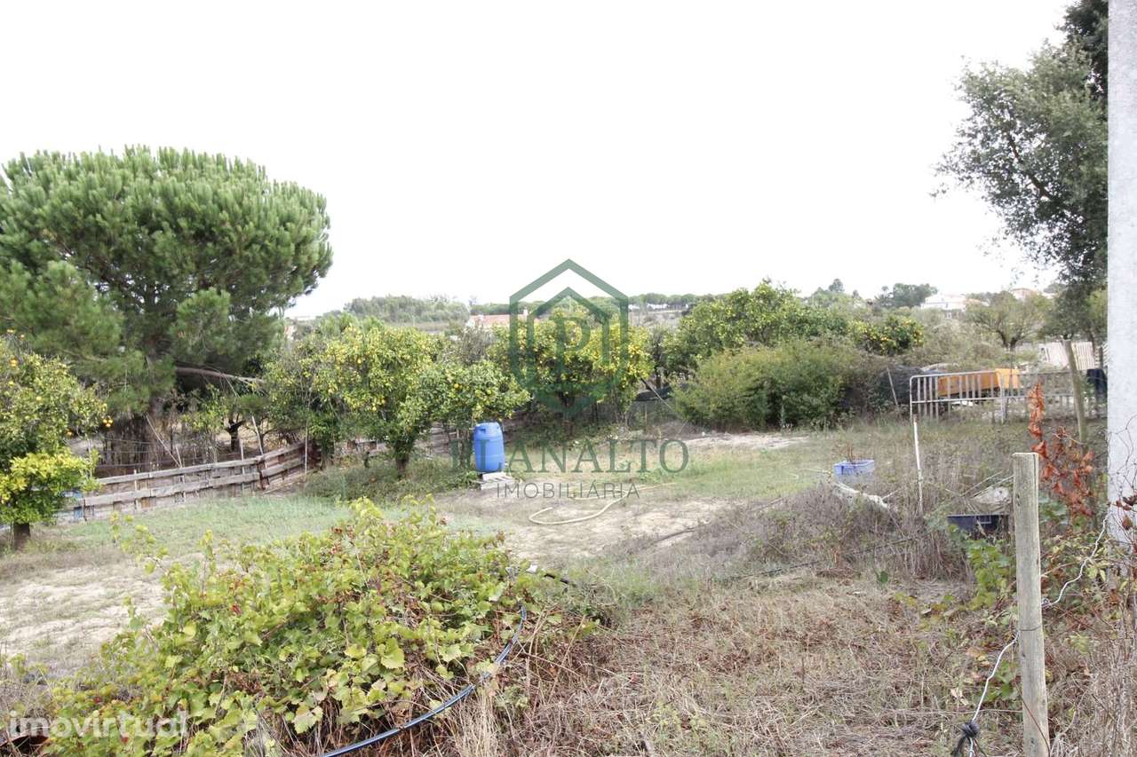 Quinta  Venda em Vendas Novas,Vendas Novas - Grande imagem: 3/17