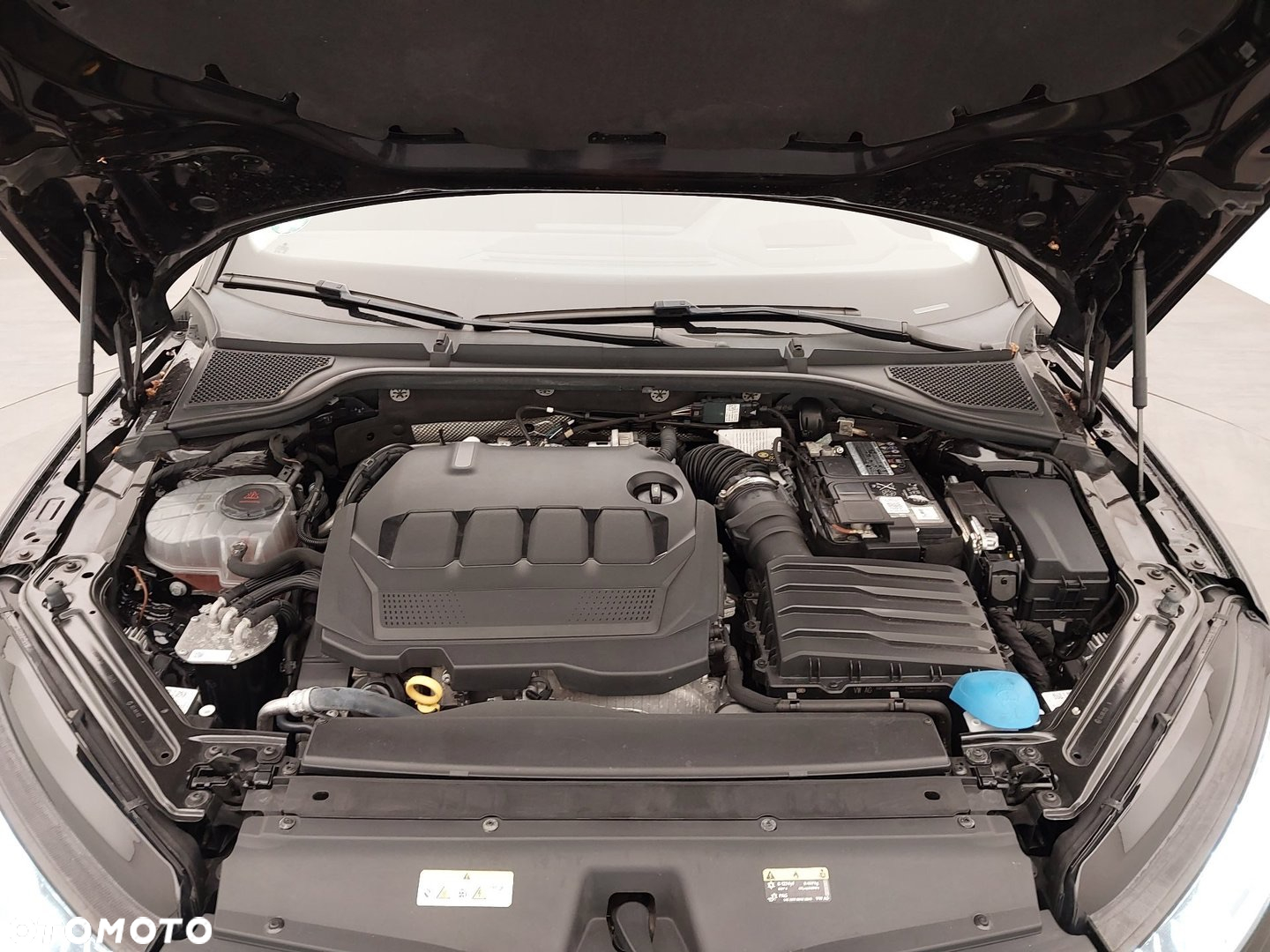 Skoda Octavia Combi 2.0 TDI DSG 4x4 Scout First Edition - 13