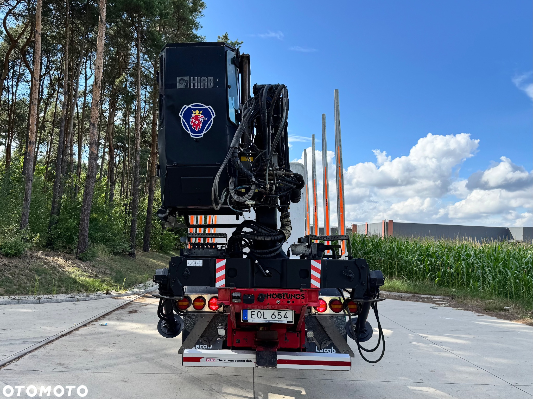 Scania R650 V8 NG DO DREWNA DO LASU - 6