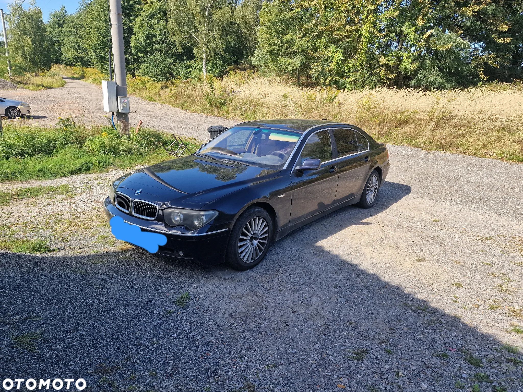 BMW Seria 7 745i L - 1