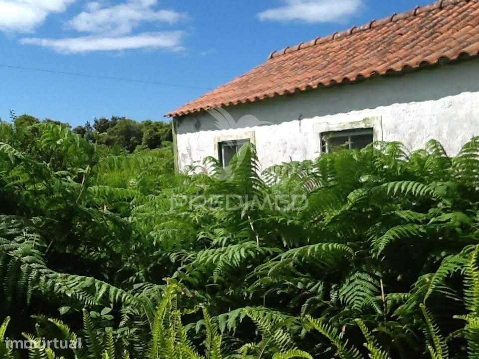 Imóvel para restauração - Grande imagem: 2/10