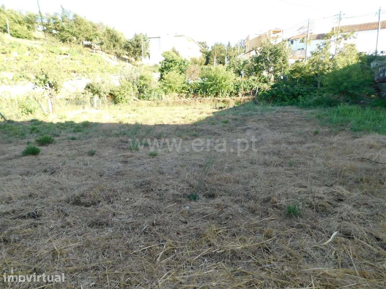 Terreno / Seia, Seia - Grande imagem: 3/3