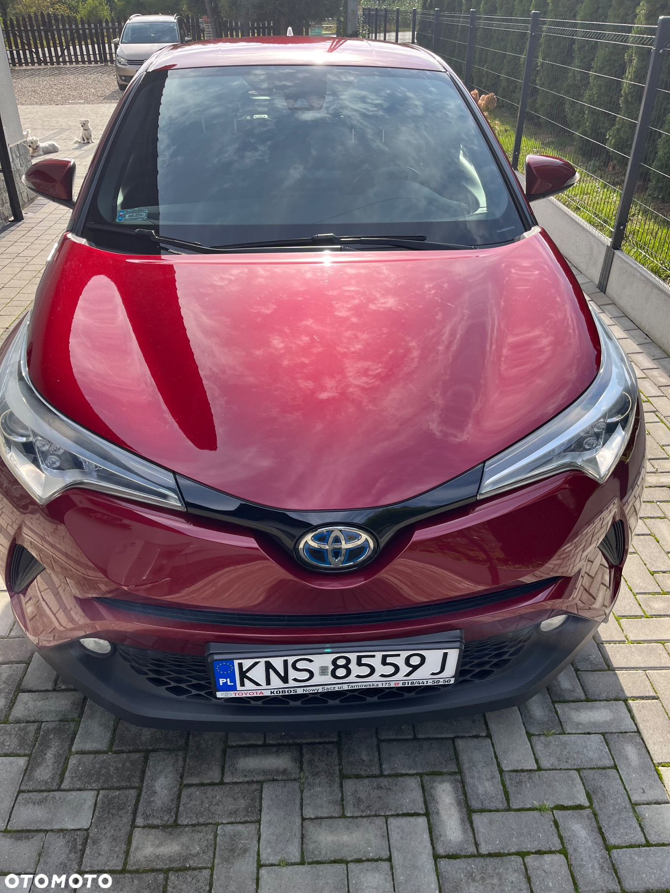 Toyota C-HR 1.8 Hybrid Dynamic - 3