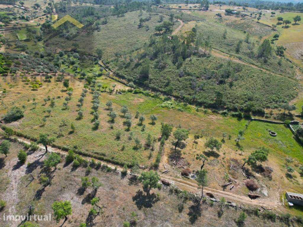 Quintinha em Maxiais, aldeia situada a 5km de Castelo Branco. - Grande imagem: 5/5