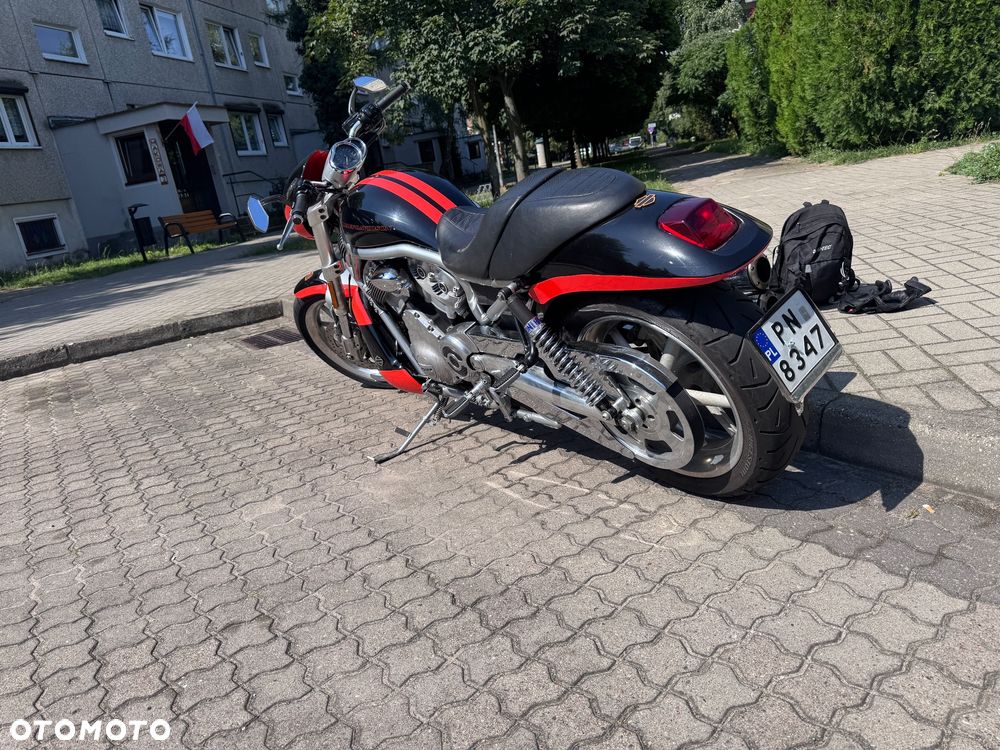 Harley-Davidson V-Rod Street Rod - 3