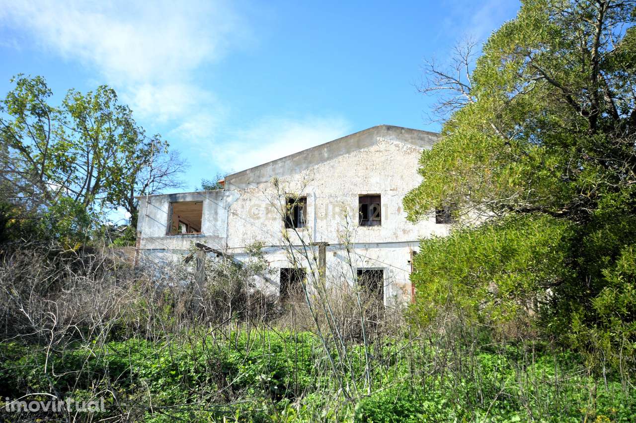 Terreno de 16.970 m2, com artigo urbano e grande potencial de expansão - Grande imagem: 4/13