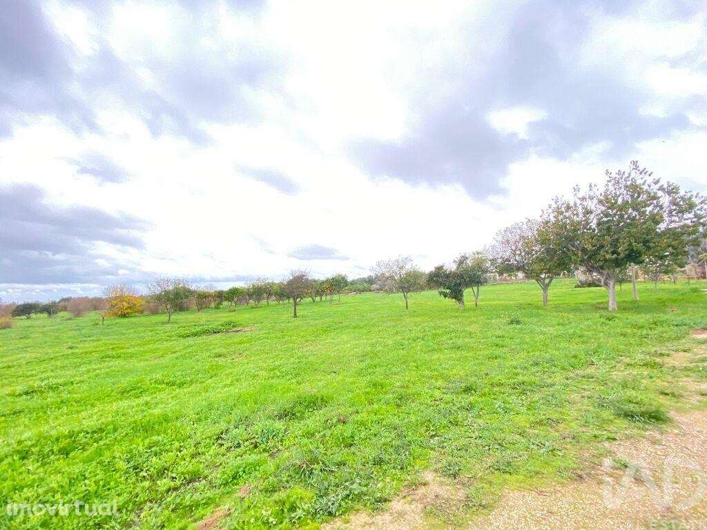 Terreno Agrícola em Quelfes - Grande imagem: 2/30