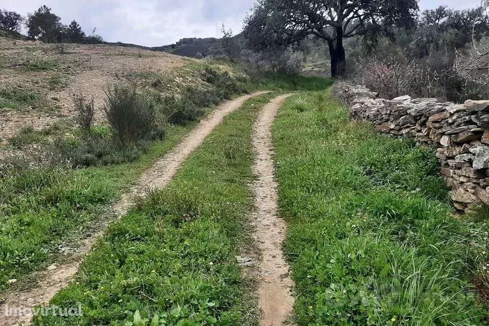 Terrenos Rústicos em Mirandela - Grande imagem: 5/13