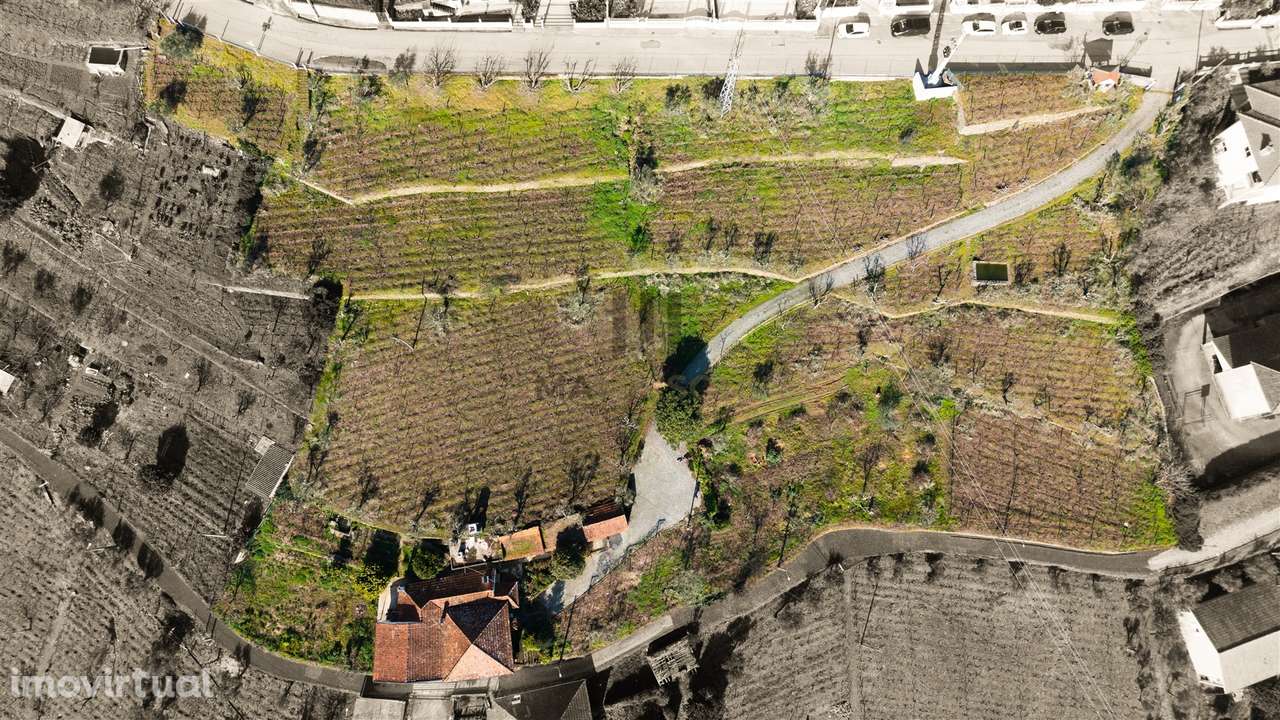 Oportunidade no Douro | Quinta com História | Lamego - Grande imagem: 2/16