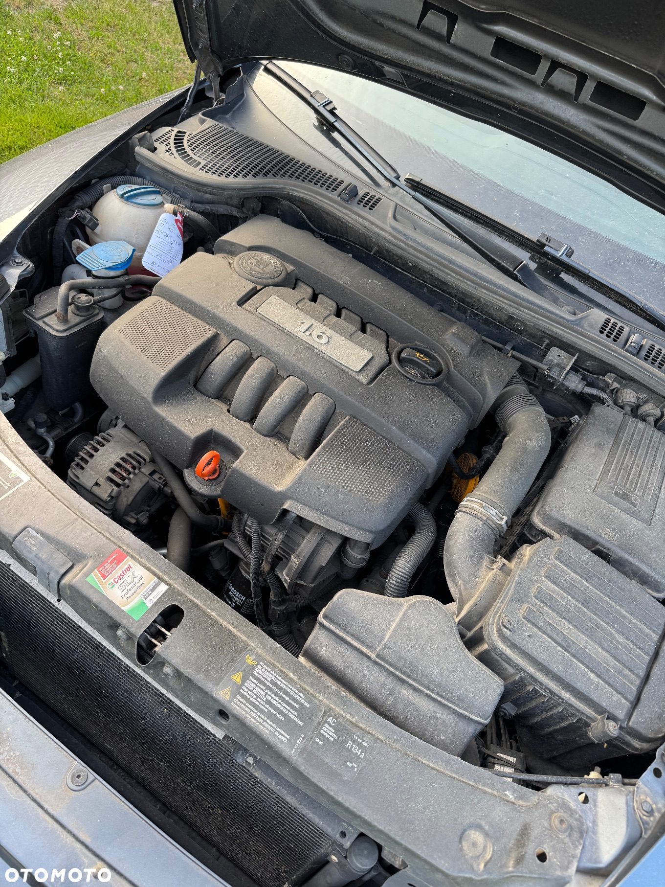 Skoda Octavia 1.6 Team Edition - 12