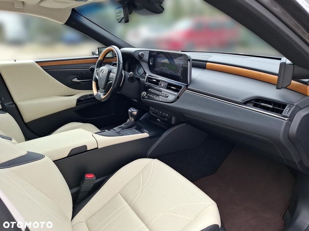 Lexus ES 300h Omotenashi - 14