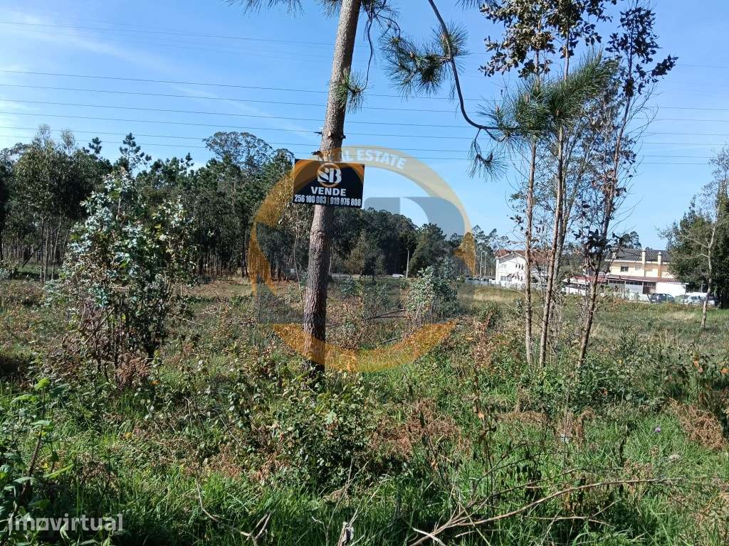 Terreno Santa Maria da Feira - Grande imagem: 4/9