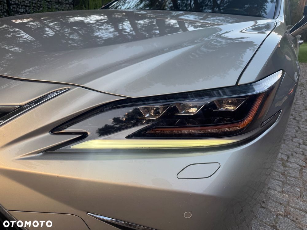Lexus ES 300h Prestige - 10