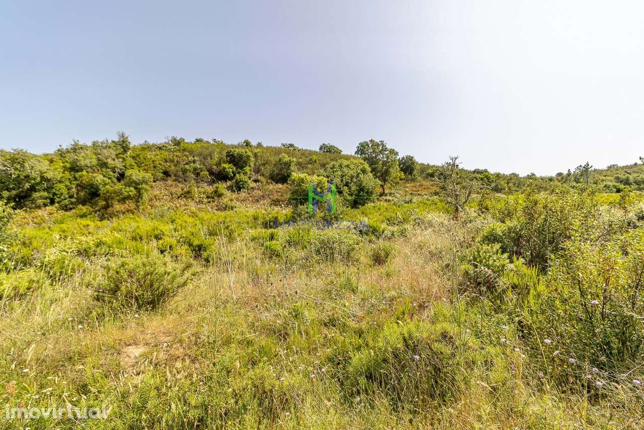 Terreno Rústico de 21.250 m2 na Bordeira - Aljezur - Grande imagem: 3/4