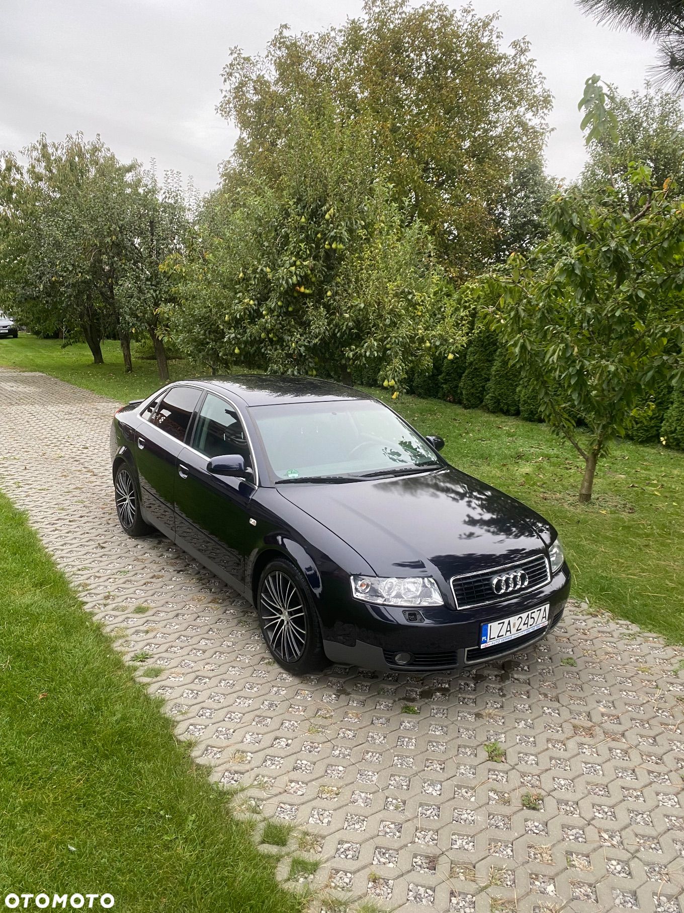 Audi A4 - 1