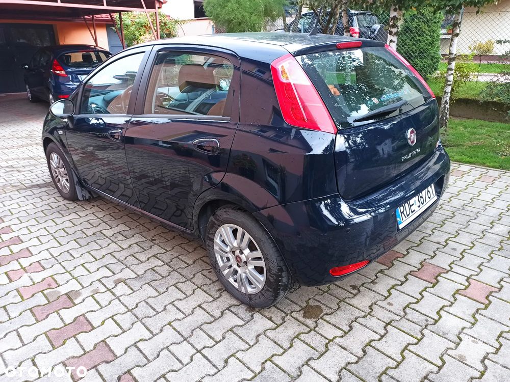 Fiat Punto 2012 - 5