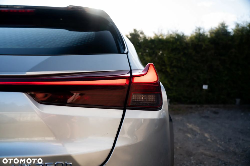 Lexus UX 250h Business Edition - 6