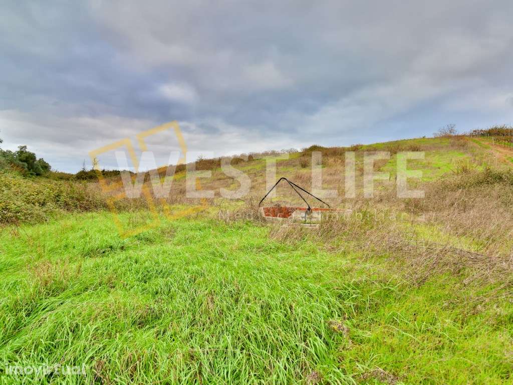 Terreno em Mafra - Terreno Agrícola de 7062m2 com Poço - Grande imagem: 4/19