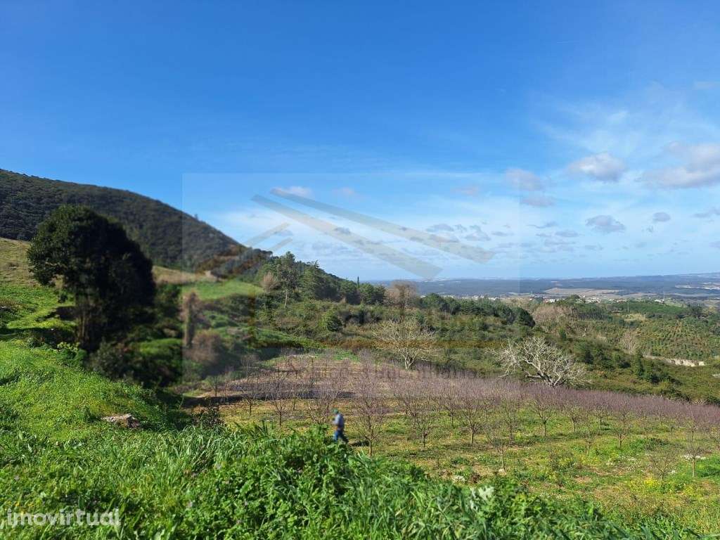 Terreno Urbano - 2460m2 - Grande imagem: 5/7