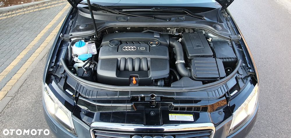 Audi A3 Sportback 1.6 Attraction - 26