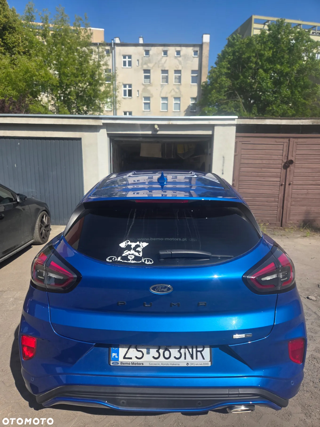 Ford Puma 1.0 EcoBoost mHEV ST-Line X Gold DCT - 21