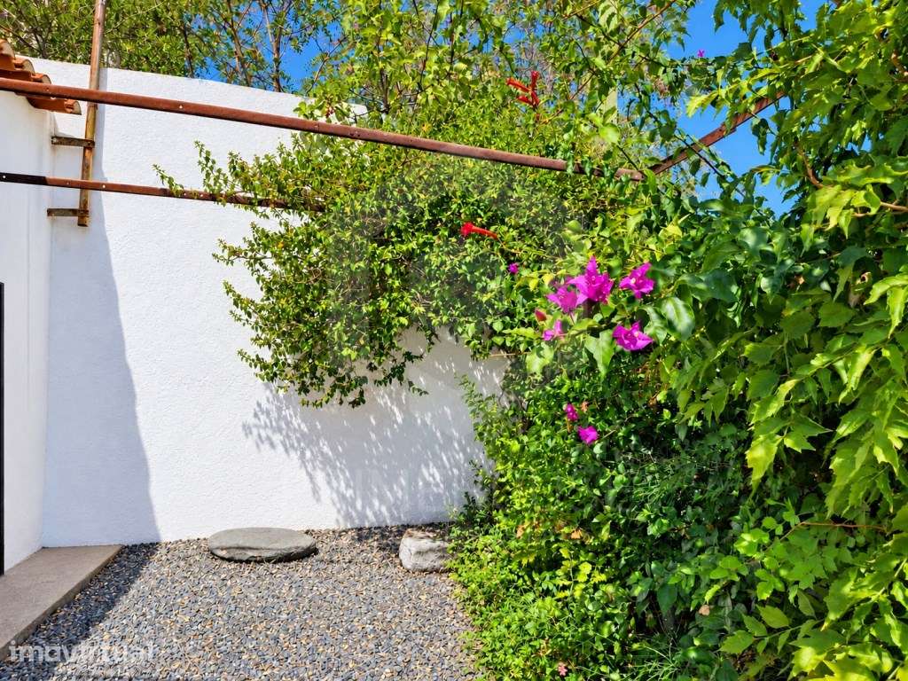 QUINTA COM 9.750 m², DUAS MORADIAS E ENORME POTENCIAL TORRÃO, ALCÁC... - Grande imagem: 2/33