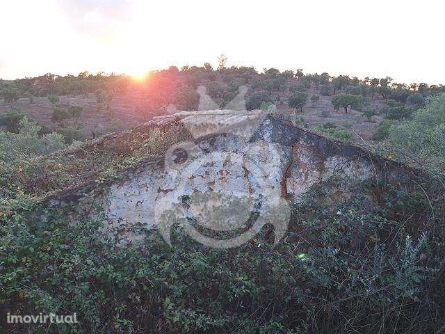 Terreno com Ruína para reconstruir - Grande imagem: 4/11