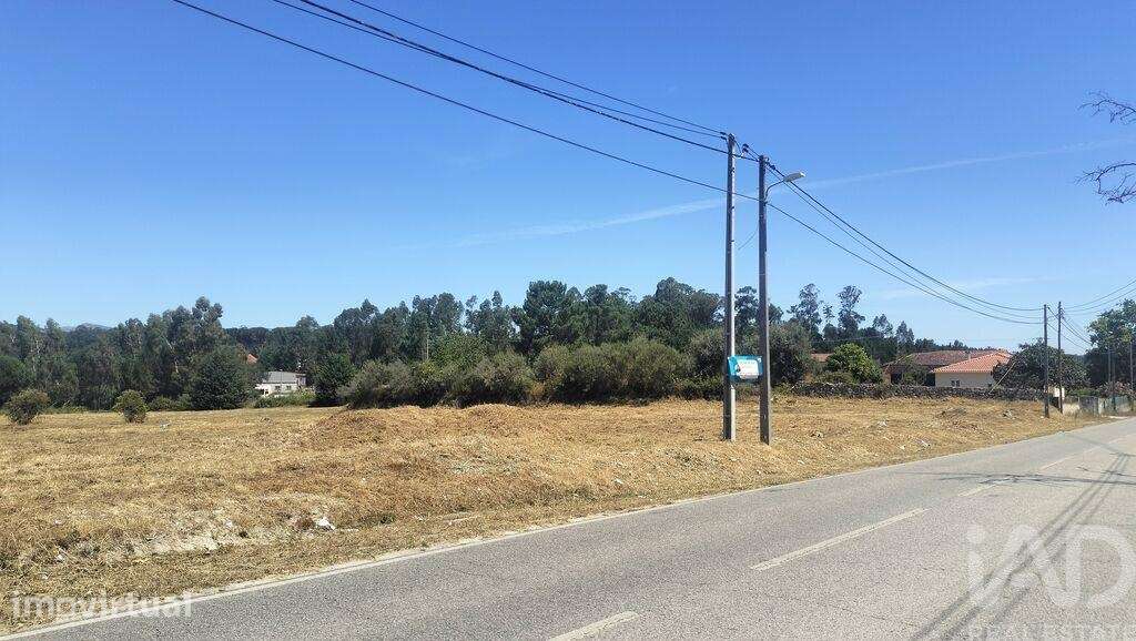 Terreno Agrícola em Canas de Santa Maria - Grande imagem: 5/30