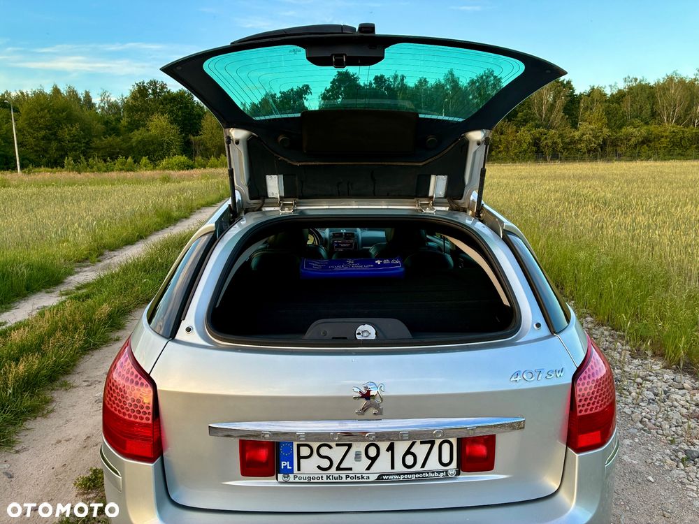 Peugeot 407 - 10